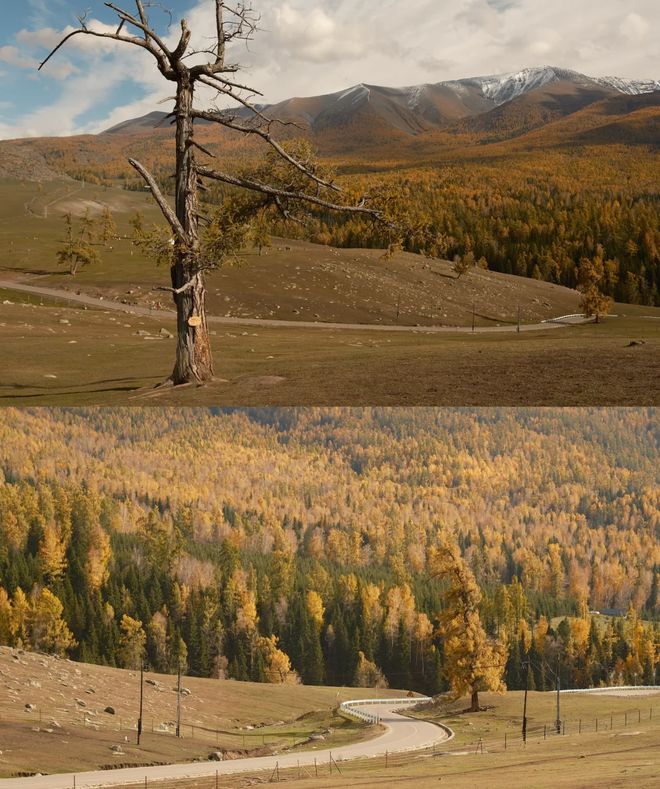 安排10月报团游新疆16天小团安排纯玩开元棋牌试玩10月报团游新疆十六天最佳