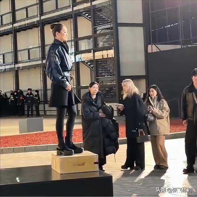 蓬裙的巩俐让所有人见识了她的江湖地位开元棋牌app这一夜全程